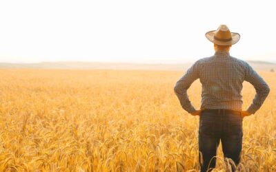 Agricultural Insurance, And Why It Helps Feed Your Farm.